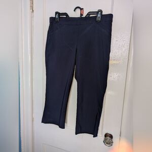 Briggs Capri Navy Blue  Dress Pants Pre-owned